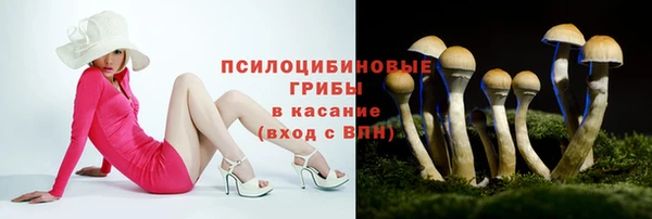 spice Покров