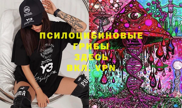 сатива Покровск